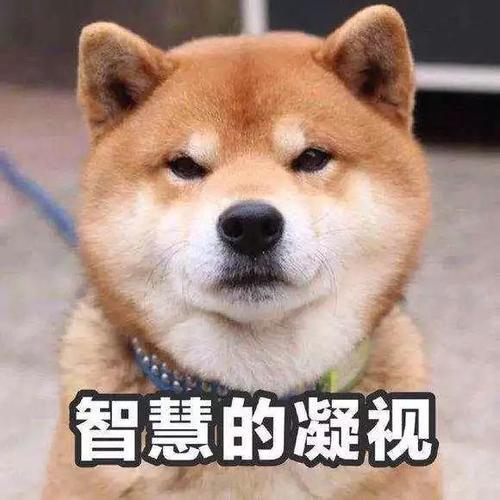 为什么说冬季采暖室温不超过22℃最舒服最健全？(图6)